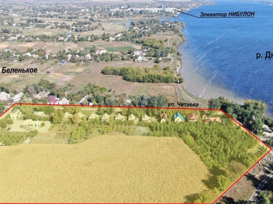 База відпочинку у с. Біленьке. Ліс. Біленьке