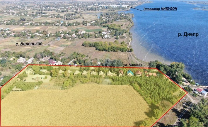 База відпочинку у с. Біленьке. Ліс. - фото 1