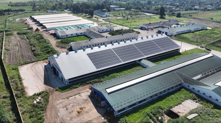 Арендую помещение под птичник шириной от 6 метров - фото 1