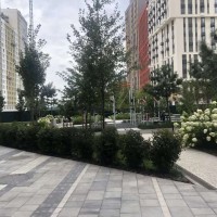 Продаж 2-кімнатної квартири на Столичному Шосе, 1 ЖК Svitlo Park. Киев