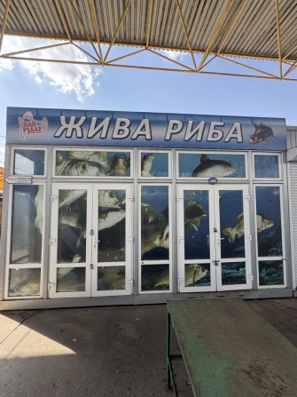 Аренда / продажа контейнера для живой рыбы - фото 1