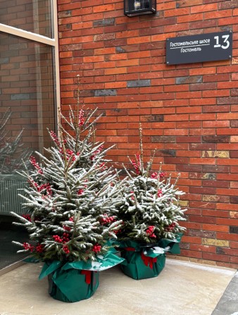 Оренда офісу 27 кв.м. з ремонтом. Є генератор, велика парковка - фото 1