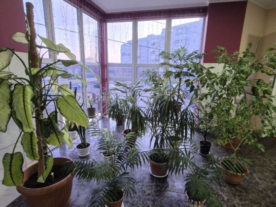 Оренда приміщення Біла Церква