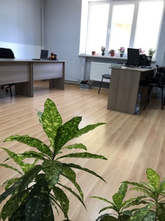 Оренда офіс з меблями | ЦЕНТР | 20 кв.м - фото 1