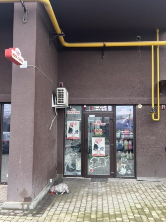 Оренда приміщення комерційного призначення  в  ЖК Атлант від власника - фото 1