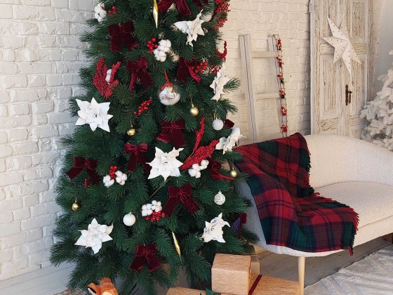 Фотостудія в Луцьку | Казкові зимові локації | Оренда від 500 грн/год Луцьк