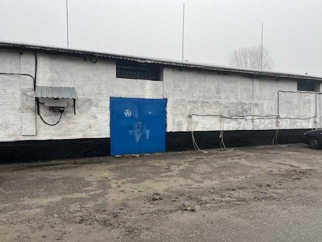 Здам склад 56 кв.м - фото 1