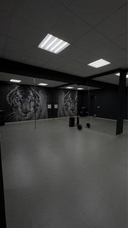 Здам фітнес зал погодинно - фото 1