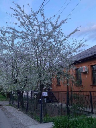 Здам офісне приміщення - фото 1