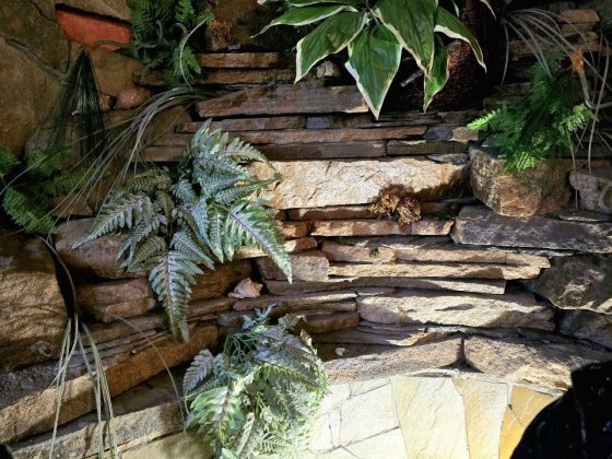 Здається в оренду унікальне приміщення вільного планування