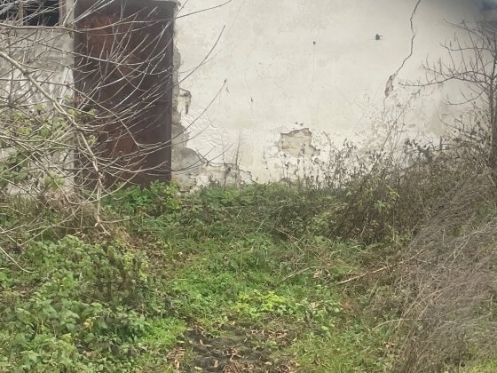 Свинарники і складські приміщення  на 1.5га Тернополь