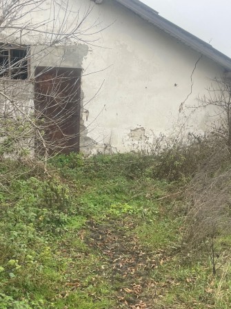 Свинарники і складські приміщення  на 1.5га - фото 1