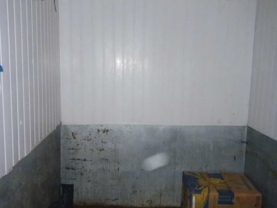 Оренда холодильної камери 29,5 кв.м. Полтава, вул. Шевченка 27 Полтава