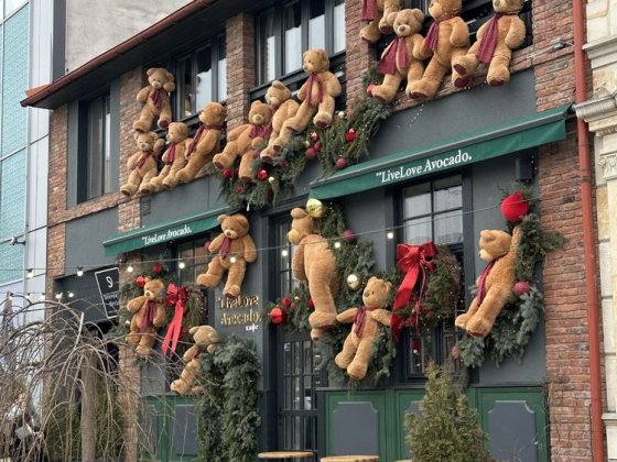 Здається в оренду комерційне приміщення вул.Льва Толстого Ужгород