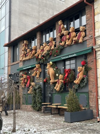 Здається в оренду комерційне приміщення вул.Льва Толстого - фото 1