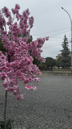 Оренда комерційного приміщення Петефі . - фото 1