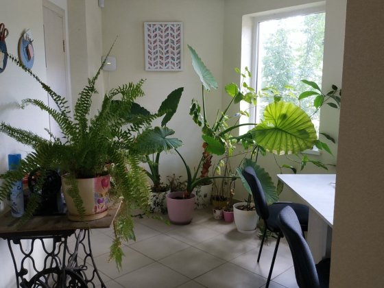 Здам офісне приміщення біля ринку Білочка Ужгород