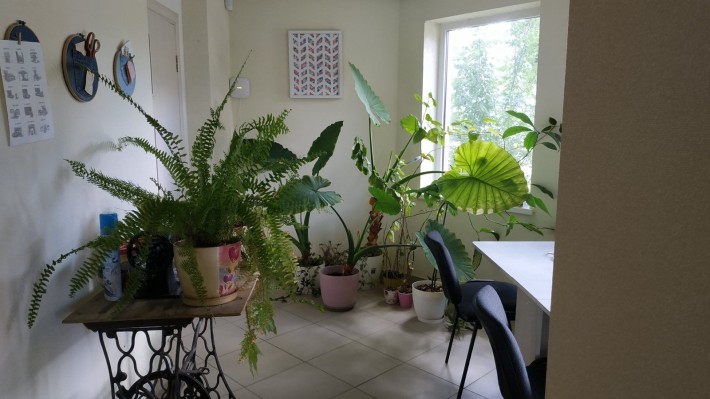 Здам офісне приміщення біля ринку Білочка - фото 1