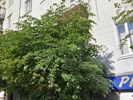 Здам в оренду приміщення  на Соборній площі Чернівці