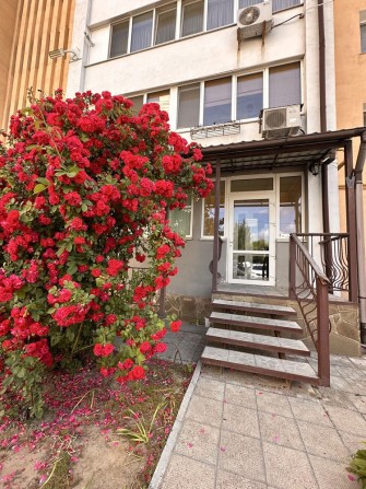 Оренда комерція вул. Стрілецька - фото 1