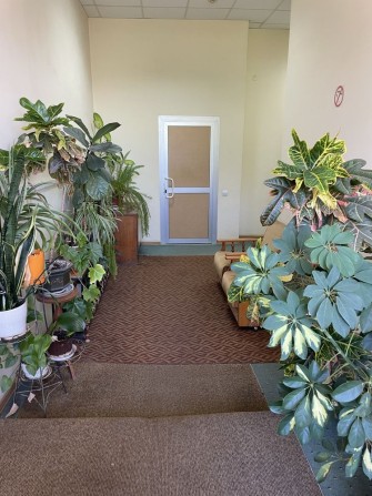 Оренда офісних приміщень/світло не відключають/приваблива ціна - фото 1