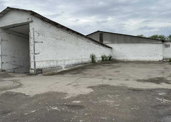 Здається комерційне приміщення в Тяжилові - фото 1