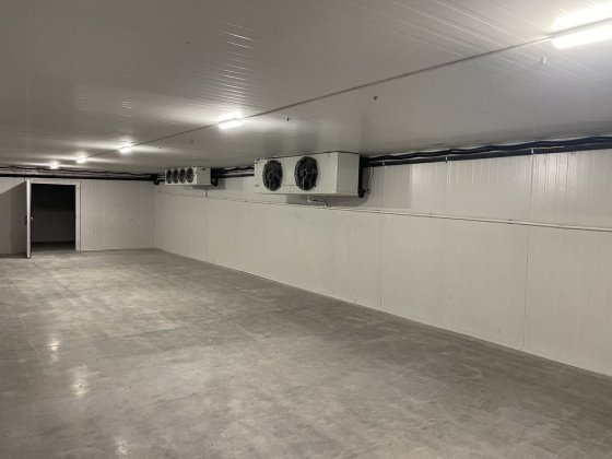 Палетне зберігання в складі-холодильнику, морозика -20 Київ