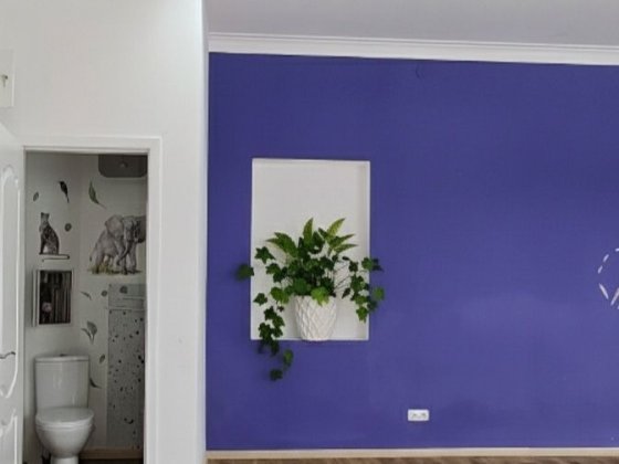 Оренда адвокату, салон, офіс. Житомир