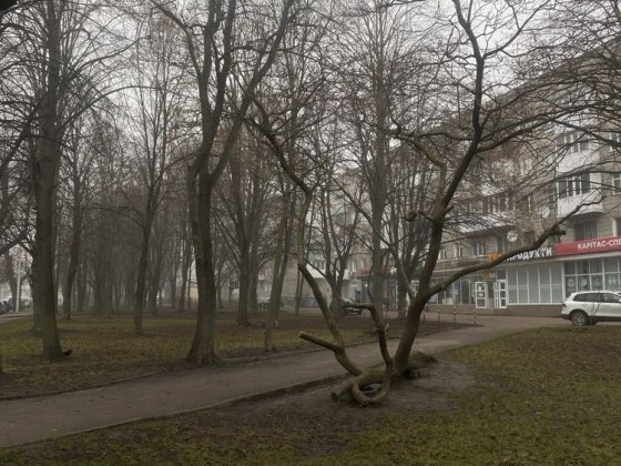 Оренда комерційного приміщення Житомир