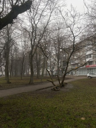 Оренда комерційного приміщення - фото 1