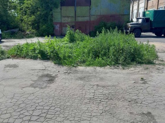 Сдам Цех в центре участок 4 сотки под бизнес Житомир