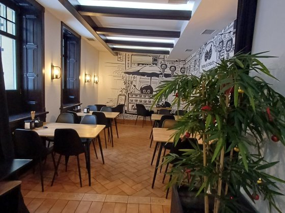 Оренда приміщення 110 м кв початок Личаківська Львов