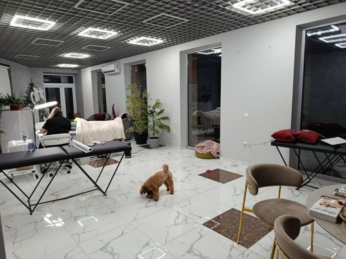 АРЕНДА 65m2 на Посмитного Салон Шоурум Магазин - фото 1