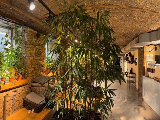 Приміщення 353 м2, вул. Велика Васильківська, 81,  м. Олімпійська