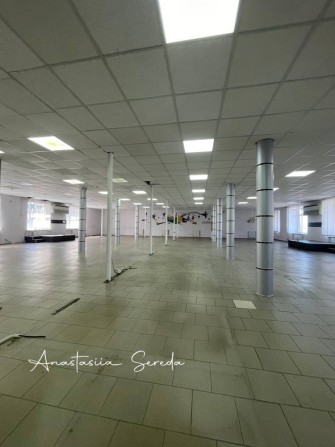 Сдам офис на Рогалева - фото 1