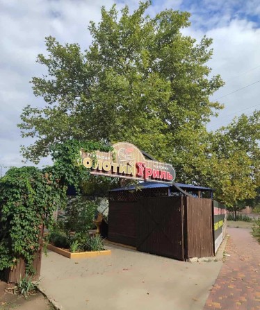 Сдается в аренду действующее кафе-бар "Золотой Гриль" (Лески) - фото 1