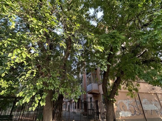 Оренда приміщення центр Миколаєва Миколаїв