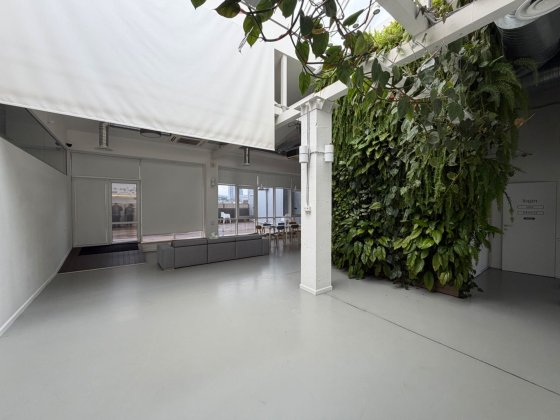 Сдам в центре офисное помещение с террасой