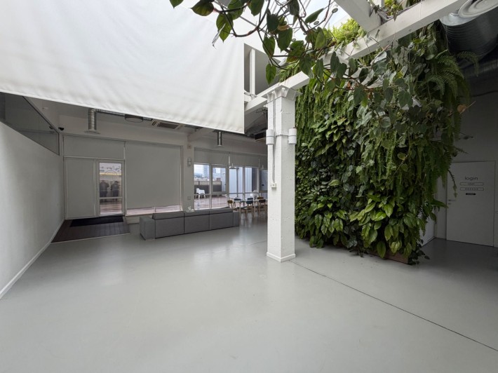 Сдам в центре офисное помещение с террасой - фото 1