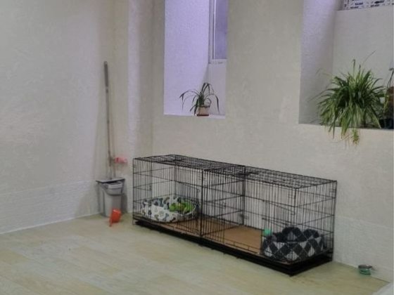 ХОЗЯИН Подвал Новый Рынок помещение салон швейка компьютер клуб Одеса