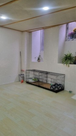 ХОЗЯИН Подвал Новый Рынок помещение салон швейка компьютер клуб - фото 1