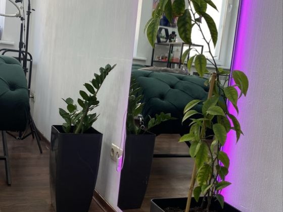 Кушетка (робоче місце) Харків