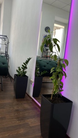 Кушетка (робоче місце) - фото 1