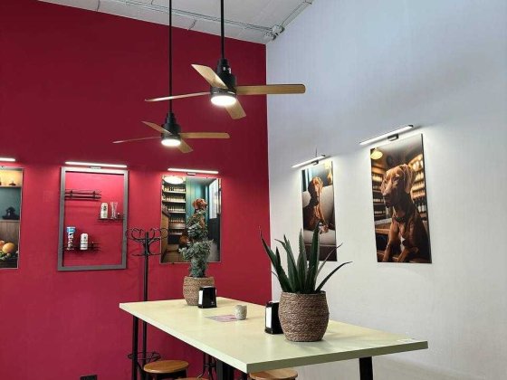 Суборенда комерційного приміщення під ваш бізнес Львов