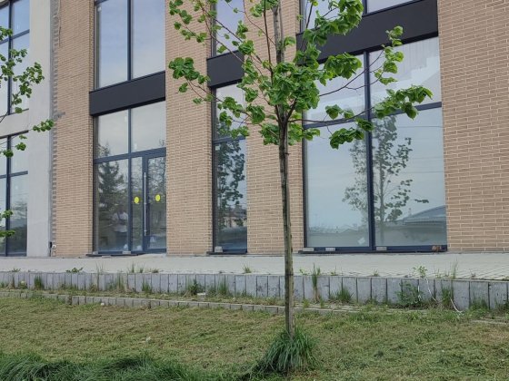 Оренда комерційного приміщення Львів