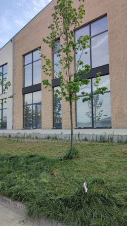 Оренда комерційного приміщення - фото 1