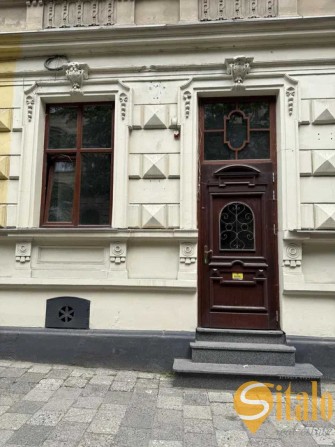 Оренда комерційного приміщення, вулиця Лепкого 11, Парк Франка - фото 1