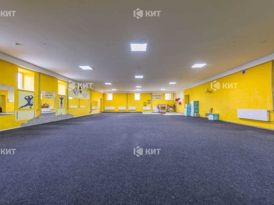 Спортзал 250м2 Центр (м. Киевская, ул. Шевченко 146) 125707 Харьков