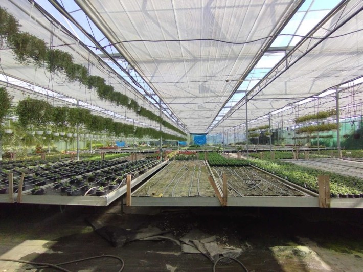 Здається стаціонарний парник, вул. Патруся Карпатського Код: 20274 - фото 1