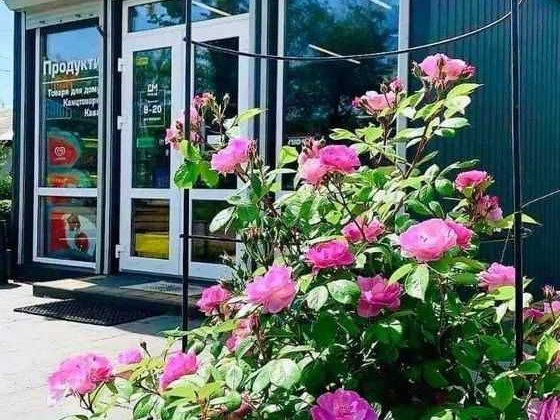 Здається в оренду магазин Угринов